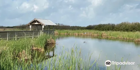Laguna Madre Nature Trail