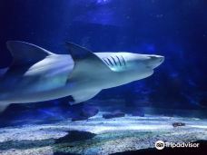 Seaquarium-勒格罗－迪鲁瓦