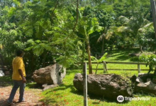 Medford Craft World购物图片