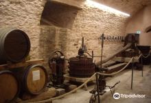 Musee de la Vigne et du Vin景点图片
