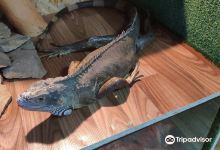 Petting Zoo Rebyata i Zveryata景点图片