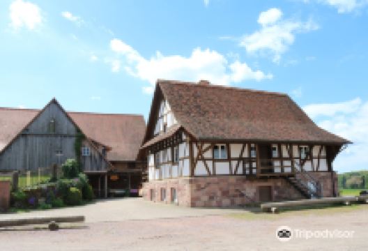 Heimatmuseum "Baule"景点图片