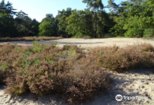 Goois Natuurreservaat景点图片