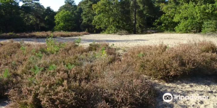 Goois Natuurreservaat