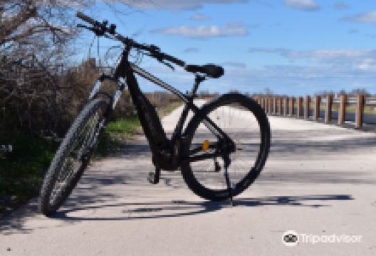 Le Vélo Saintois购物图片
