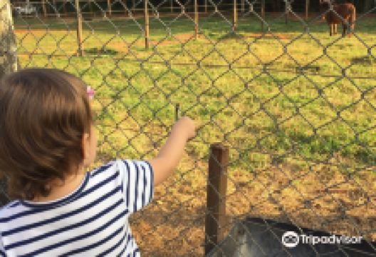Recanto dos Animais Henrique Pedroni景点图片