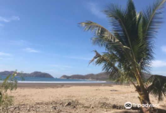 Playa Órganos景点图片