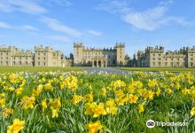 Floors Castle & Gardens景点图片