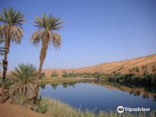 艾卡库斯沙漠-加特