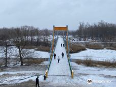 Tezikov Bridge-坦波夫