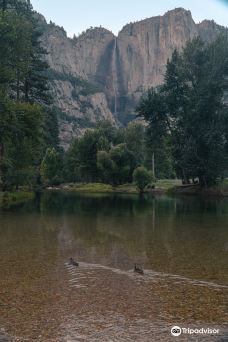 Swinging Bridge Picnic Area Yosemite National Park CA-优胜美地谷