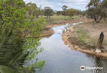 Richardson River景点图片