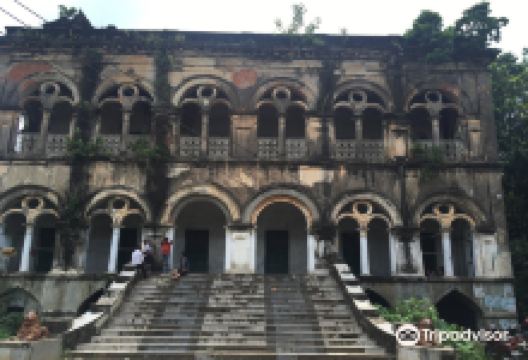 Dubey Palace景点图片