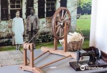 Geringonza de Novo Treviso History Museum景点图片