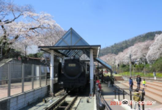 Yamakita Town Railway Park景点图片