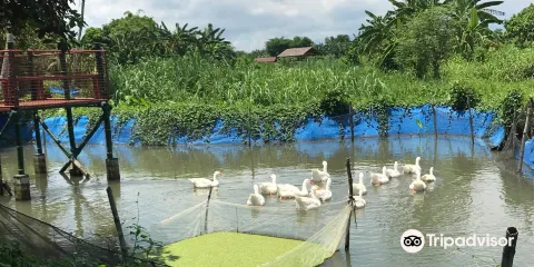 Graco Farms & Leisure