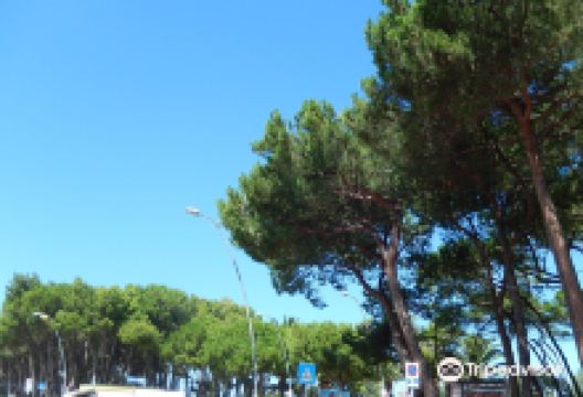 La Pineta景点图片