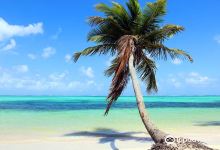 Punta Bonita景点图片