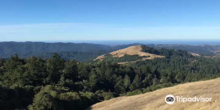 Russian Ridge Open Space Preserve