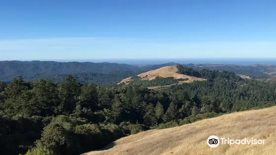 Russian Ridge Open Space Preserve