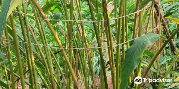 Highland Spice Garden