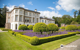 Montalto Estate