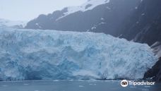 Holgate Glacier-西沃德