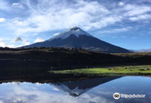 Cotopaxi National Park景点图片