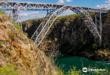 Metal Bridge Dom Pedro II景点图片