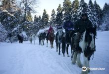 Bulgaria on Horseback景点图片