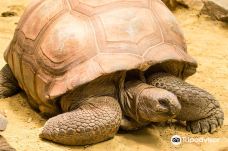 阿默斯福特动物园-阿默斯福特