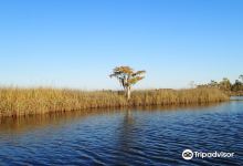 Yellow River Marsh Aquatic Preserve景点图片
