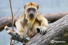 罗杰威廉斯公园动物园-普罗维登斯