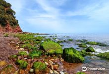 Ness Cove Beach景点图片