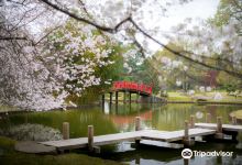 Memphis Botanic Garden景点图片