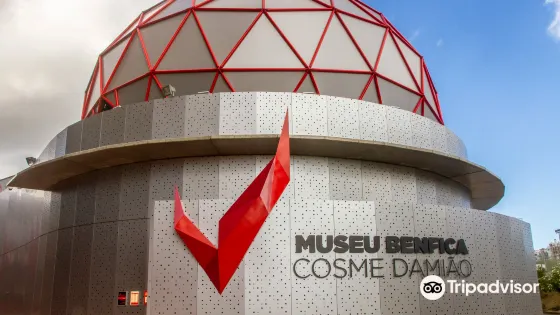 Museu Benfica - Cosme Damiao