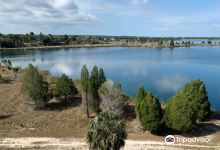 Weekiwachee Preserve景点图片