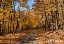 Parc national du Mont-Saint-Bruno景点图片