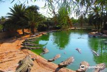 Djerba Explore Park景点图片