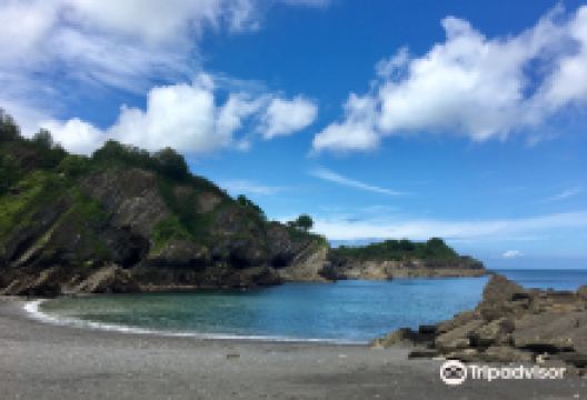 Broadsands Beach景点图片