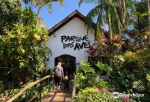 伊瓜苏鸟园景点图片