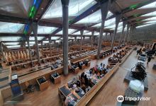 Bibliotheca Alexandrina El Gouna景点图片