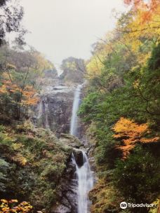 Hiibachi Falls-竹田市
