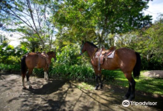 Aquiares Coffee & Community Experience景点图片