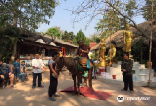 Wat Tham Pa Archa Thong: The Golden Horse Temple景点图片
