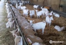 La Chevre du Vrizon Earl美食图片