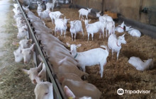 La Chevre du Vrizon Earl餐厅图片