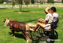 Arizona Equestrian Connection景点图片