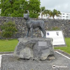 Sao Miguel Cattle Dog Statue-坎普自田镇