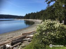 Rebecca Spit Marine Provincial Park-奎德拉岛